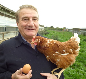Lou Napolitano - Egg Farmer 007
